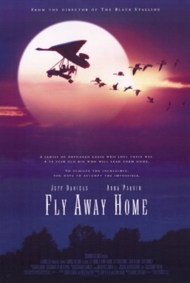 ดูหนังออนไลน์ฟรี FLY AWAY HOME (1996) เพื่อนรักสุดขอบฟ้า