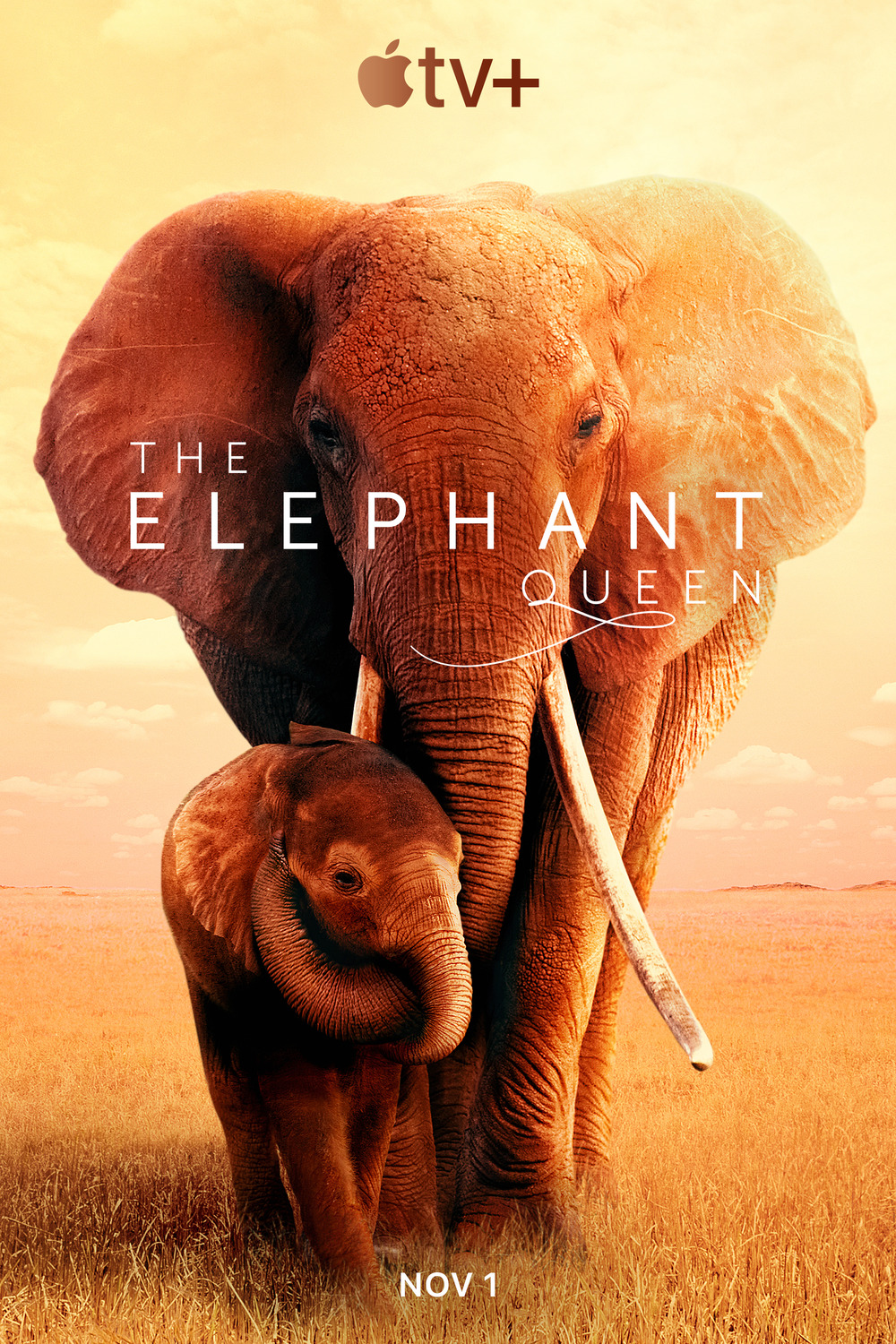 ดูหนังออนไลน์ฟรี The Elephant Queen (2019)